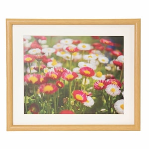�t�W�J���[�b�ؐ��z�� M20 6�؁i�ؒn�j�i�O�ʔ�-PET�j�bӸ��F-M20-6