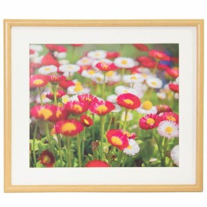 �t�W�J���[�b�ؐ��z�� M20 4�؁i�ؒn�j�i�O�ʔ�-PET�j�bӸ��F-M20-4