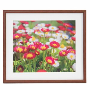 �t�W�J���[�b�ؐ��z�� M21 4�؁i�u���E���j�i�O�ʔ�-PET�j�bӸ��F-M21 4