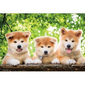 ペット わんぱく秋田犬 300ピース Joshin Webショップ 通販 ビバリー ビバリー P33 161 ワンパクアキタイヌ ペット わんぱく秋田犬 300ピース Joshin Webショップ 通販 ビバリー ビバリー P33 161 ワンパクアキタイヌ