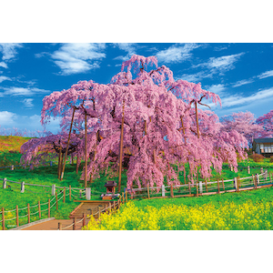 日本風景 桜 満開の三春滝桜 福島 300ピース Joshin Webショップ 通販 ビバリー ビバリー33 1マンカイノミハルタキ