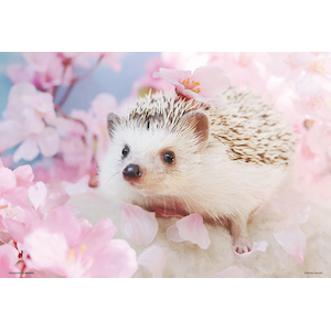 ペット はりねずみのあずき 300ピース Joshin Webショップ 通販 ビバリー ビバリー P33 181 ハリネズミノアズギ ペット はりねずみのあずき 300ピース Joshin Webショップ 通販 ビバリー ビバリー P33 181 ハリネズミノアズギ
