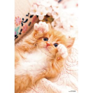 Pretty Pet じゃんけんパー 150ラージピース Joshin Webショップ 通販 ビバリー ビバリーl74 186ジャンケンハ Pretty Pet じゃんけんパー 150ラージピース Joshin Webショップ 通販 ビバリー ビバリーl74 186ジャンケンハ