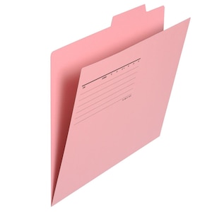 �v���X�b�ʃt�H���_�[�G�R�m�~�[ 10���p�b�N�i�s���N�j�bFL-081IF(87289)