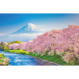 春爛漫の桜並木と富士山 静岡 1000ピース Joshin Webショップ 通販 やのまん ヤノマン10 1387ハルラン 春爛漫の桜並木と富士山 静岡 1000ピース Joshin Webショップ 通販 やのまん ヤノマン10 1387ハルラン