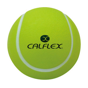 �T�N���C�f�Ձb�L�b�Y�e�j�X�{�[���y1�_�[�X�i12�����j�z�bCT-12SP