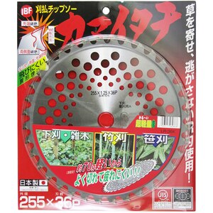 IBF�b���y�� �����`�b�v�\�[ �J�}�C�^�`(255�~36P)�bLR-36K
