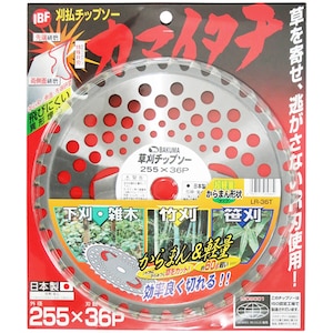 �o�N�}�b�J�}�C�^�`����܂�y��(255�~36P)�bLR-36T