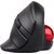 HIDISC�b2.4GHz�ڑ� ���C�����X�g���b�N�{�[���}�E�X�bHDM-06TWBK