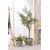 ���J�b�O���[���x�[�X(��25�~���s25�~����20cm)�ی^�bGRNB-201