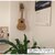 �A�N�A���f�I�b�C�[�W�[�t�b�N �ǔ��l(�u���E��)�b608928