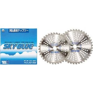 �n�E�X�r�[�G���b�����`�b�v�\�[�uSKY�@BLUE�v�bSB-230