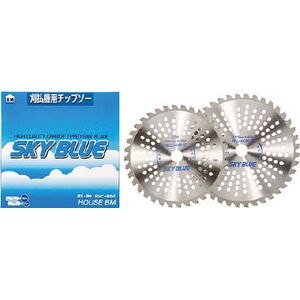 �n�E�X�r�[�G���b�����`�b�v�\�[�uSKY�@BLUE�v�bSB-255