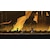 �R�i�~�f�W�^���G���^�e�C�������g�b�yJoshin�I���W�i�����T�t�z�ySwitch�zCastlevania: Belmont's Curse Midnight Edition�bHAC-P-BV2KA NSW ����ٳާƱ ������޶-� Я��ŲĴ�ި���