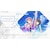 �R�[�G�[�e�N���Q�[���X�b�yJoshin�I���W�i�����T�t�z�yPS5�zBLUE REFLECTION Quartet: ���������̃L�Z�L�@�ʏ�ŁbELJM-30915 PS5 ���-��ڸ��� ��ï� ³�ޮ�