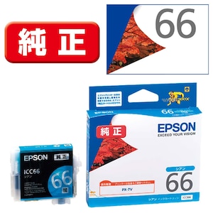 �G�v�\���b�m�����n �C���N�J�[�g���b�W�i�V�A���j�bICC66