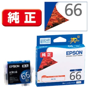 �G�v�\���b�m�����n �C���N�J�[�g���b�W�i�u���[�j�bICBL66