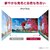 LG�G���N�g���j�N�X�b�G���W�[�b�t���f�B�X�v���C(23.8�^/IPS/FullHD 1920�~1080/100Hz/5ms)(�u���b�N)�b24BF440B-B