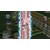 ���{��\�t�g�E�F�A�b�ySwitch�z�r��炢�̖`�����V�bHAC-P-A3TNA NSW ����ȸ�ײ��޳��Ҽ
