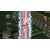 ���{��\�t�g�E�F�A�b�ySwitch�z�r��炢�̖`�����V �_�E�����[�h�ŁbHAC-G-A3TNA NSW ����ȸ�ײ��޳��Ҽ DL