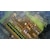 ���{��\�t�g�E�F�A�b�yPS5�z�ق̕邵�̒�bELJM-30777 PS5 �ɸ�׼���