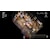 ���{��\�t�g�E�F�A�b�yPS5�z�ق̕邵�̒�bELJM-30777 PS5 �ɸ�׼���