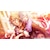 �A�C�f�B�A�t�@�N�g���[�b�ySwitch�z�I�v�̃e�B�A�u���C�h for Nintendo Switch�@�����ŁbYTSW-25156 NSW ճ����è���ڲ�� ���ò