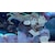 �A�C�f�B�A�t�@�N�g���[�b�yJoshin�I���W�i�����T�t�z�ySwitch�zBLACK WOLVES SAGA -Wei�� und Schwarz- for Nintendo Switch�@�ʏ�ŁbHAC-P-BN88A NSW ��ׯ��ٳ޽�-�� ³�ޮ�