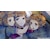 �A�C�f�B�A�t�@�N�g���[�b�yJoshin�I���W�i�����T�t�z�ySwitch�zBLACK WOLVES SAGA -Wei�� und Schwarz- for Nintendo Switch�@�ʏ�ŁbHAC-P-BN88A NSW ��ׯ��ٳ޽�-�� ³�ޮ�