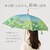 BACKYARD FAMILY(�o�b�N���[�h�t�@�~���[)�b���� �ؐ� �W�����v���P�i�_���t�C�i�C/�S�[���f���A���[�j�bAUJUMPUM2-1A-2N