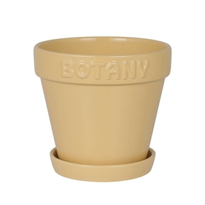 �_���g��(DULTON)�bG21-0395M/BE�{�^�j�[ �|�b�g 5 �x�[�W�� (�x�[�W��)�b45-080156