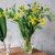 �_���g��(DULTON)�b�O���X �x�[�X �p�\ H230�bM-0760/230