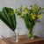 �_���g��(DULTON)�b�O���X �x�[�X �p�\ H230�bM-0760/230