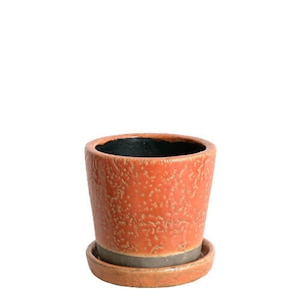 �_���g��(DULTON)�b�J���[�O���C�Y�h�|�b�gS(�I�����W) 2.5�����ڈ��b45-552721