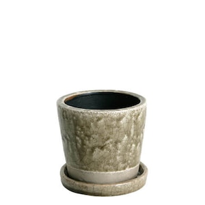 �_���g��(DULTON)�b�J���[�O���C�Y�h�|�b�gS(�N���C) 2.5�����ڈ��b45-552783