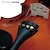 �X�e���^�[�b�L�b�Y�����o�C�I����(1/8�T�C�Y)�bSV-180 1/8