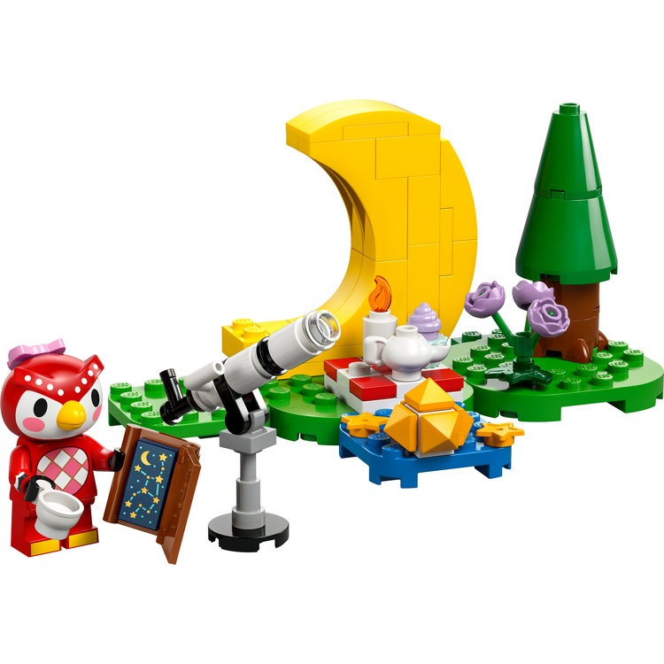 専用商品 レゴジャパン 77053ﾌ-ｺﾉﾎｼｿﾞﾗｳｵﾂﾁﾝｸﾞ LEGO どうぶつの森 77053