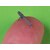 MASTER�b1/72 WWI �h�C�c �V���p���_�ELMG 08/15�@�֏e �����U�n���h���^�C�v(2��)�yAM-72-170�z�bAM-72-170 ������޳LMG 08/15 ���������