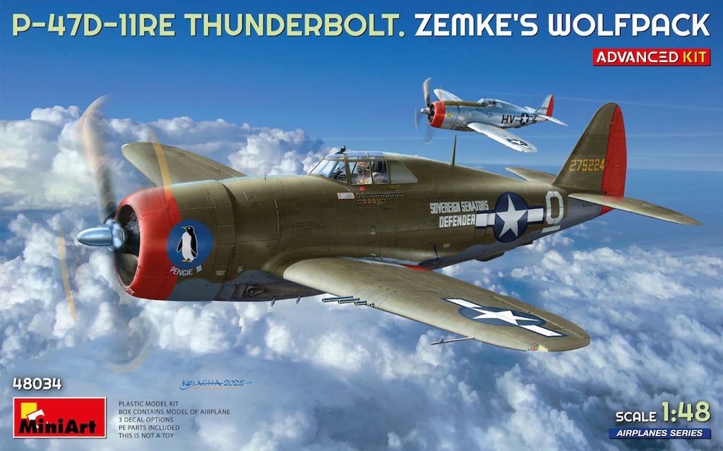 1/48 P-47D-11RE サンダーボルト ゼムケ ウルフパック