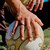 �n�������i�I�[���j�bOura Ring 4 �X�e���X/�T�C�Y7�bJZ905421807