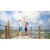 Insta360�b�A�N�V�����J�����uInsta360 X3�v�bCINSAAQ/B