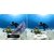 Insta360｜Insta360「X3」用見えない潜水ケース｜CINSBAQW