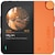 HiBy�b�I�[���C�������E�|�[�^�u���I�[�f�B�IBluetooth DAC�i�I�����W�j�bW4ORANGE