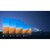 Dangbei�b�_���x�C�b�|�[�^�u���v���W�F�N�^�[�m�t��HD /450ISO���[�����iLED�����j /Google TV�n�bDBOD03-ACPB01