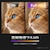 FeuVision�b�t���[�r�W�����b�t���f�B�X�v���C(27�^/IPS/FullHD 1920�~1080/120Hz/5ms/HDMI/USB Type-C)�bFSID27BF1AE