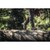 �n�X�N�o�[�i�b�v���e�N�e�B�u���U�[�u�[�c �e�N�j�J��24 (37) 24.0cm EN ISO17249�F�N���X2(24m/s)�b597 65 92-37