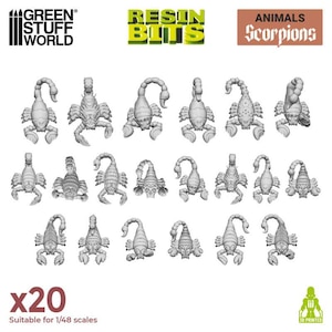 �O���[���X�^�b�t���[���h�b3D�v�����g�Z�b�g - �T�\���yGSWD-12667�z�bMS GSWD-12667 ���