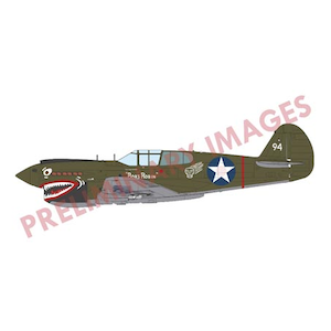 1/48 P-40E パシフィックスター デュアルコンボ リミテッドエディション【EDU11185】
