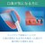 �t�B���b�v�X�b�㖁���u���V�w�b�h(�u���b�N)�y2�{���z�bHX8072/11