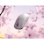 Pulsar Gaming Gears�i�p���T�[ �Q�[�~���O �M�A�j�b�y���{����zX2 CrazyLight Mini Tokyo Exclusive�bPX2CL110